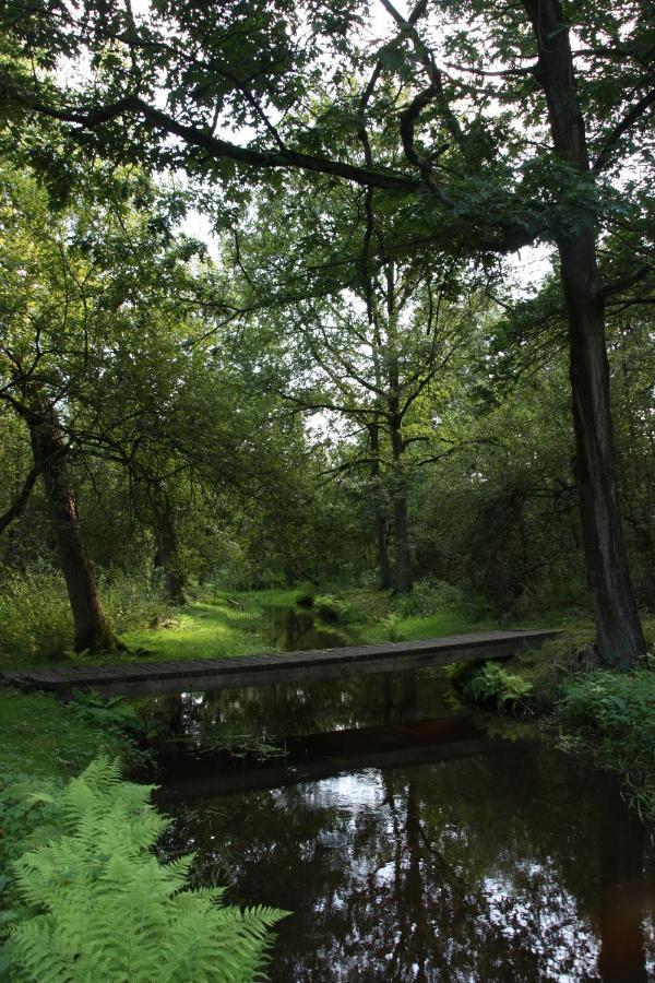 Vakantiehuis Appelvink, Toplocatie In Bosrijke Omgeving Oisterwijk Eksteriør bilde